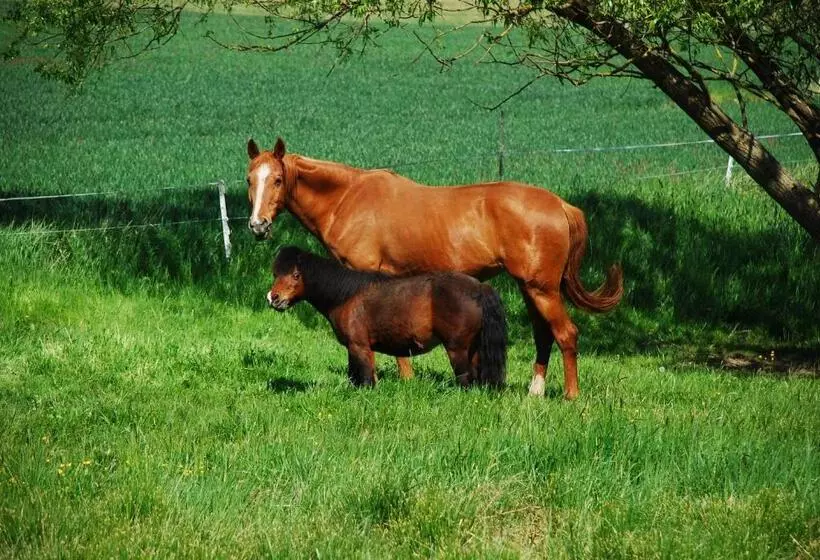 Majatalo Hostinec A Penzion U Rezků