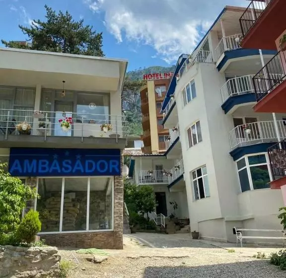 Pensiunea Ambasador