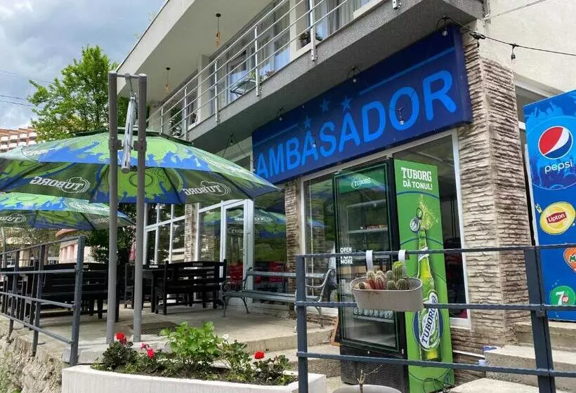 Pensiunea Ambasador