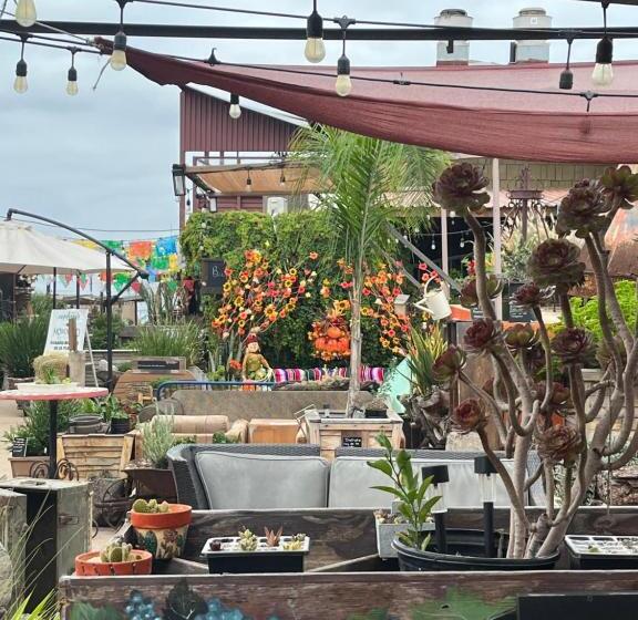 Beachfront 4 Br Penthouse Pool Steps To Beach & Mins To Downtown