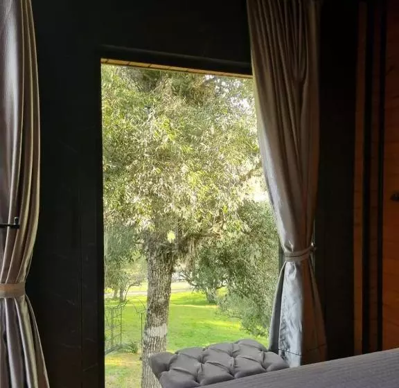 Cabana Horses La Contemporanea Próximo A Cidade E Vista Ponto Turístico Pedra Morro Do Campestre