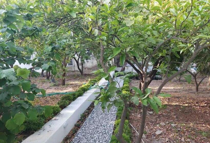 Mel’s Garden House In The Heart Of The City