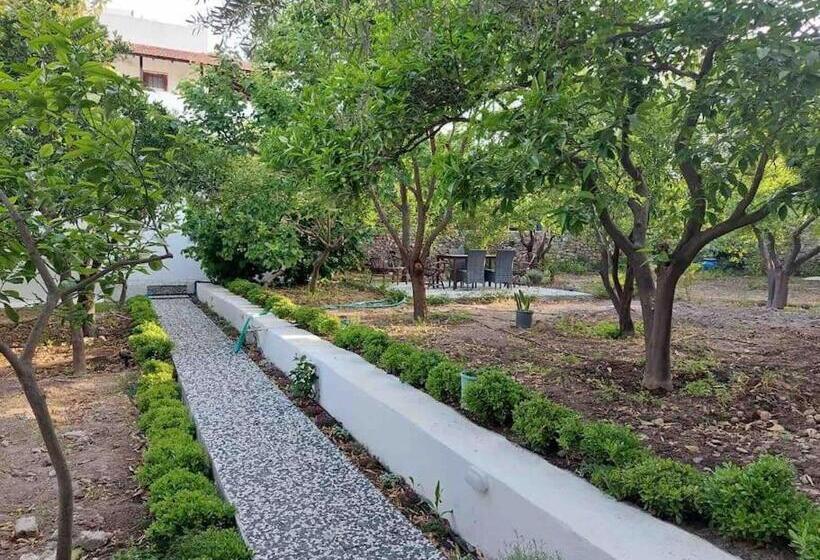 Mel’s Garden House In The Heart Of The City