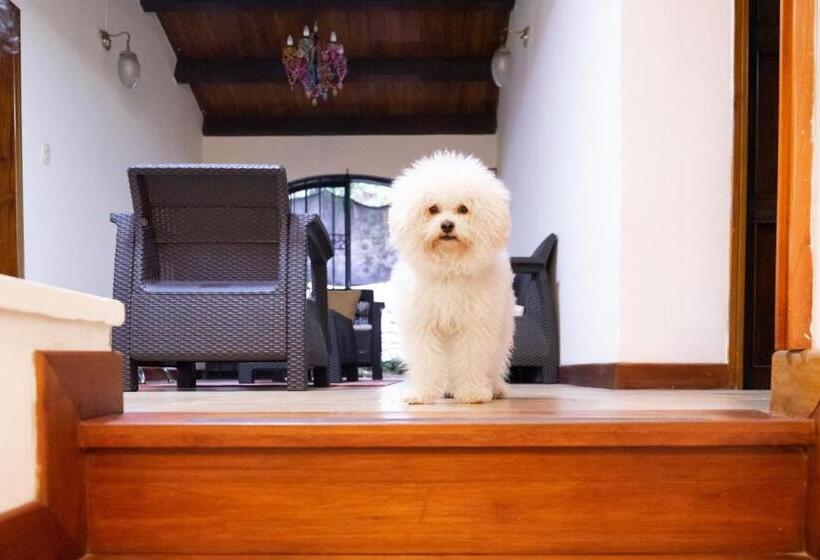 پانسیون ámbar Hostel San Gil