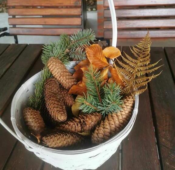 Пансион Thor și Cora