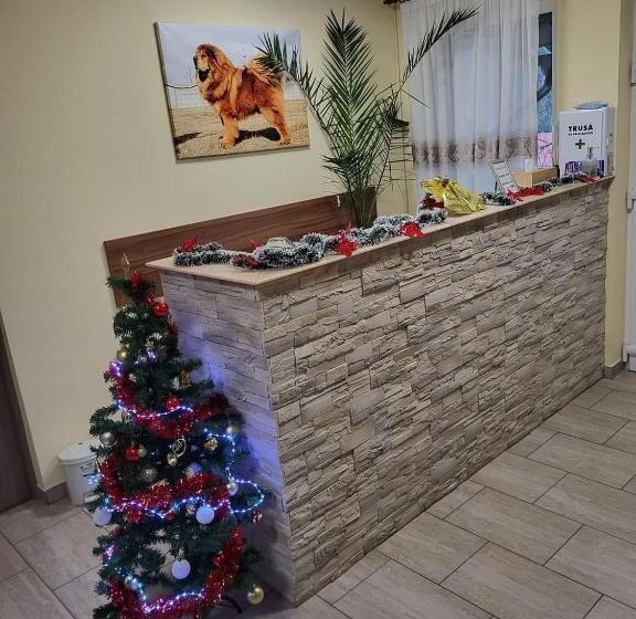 Пансион Thor și Cora