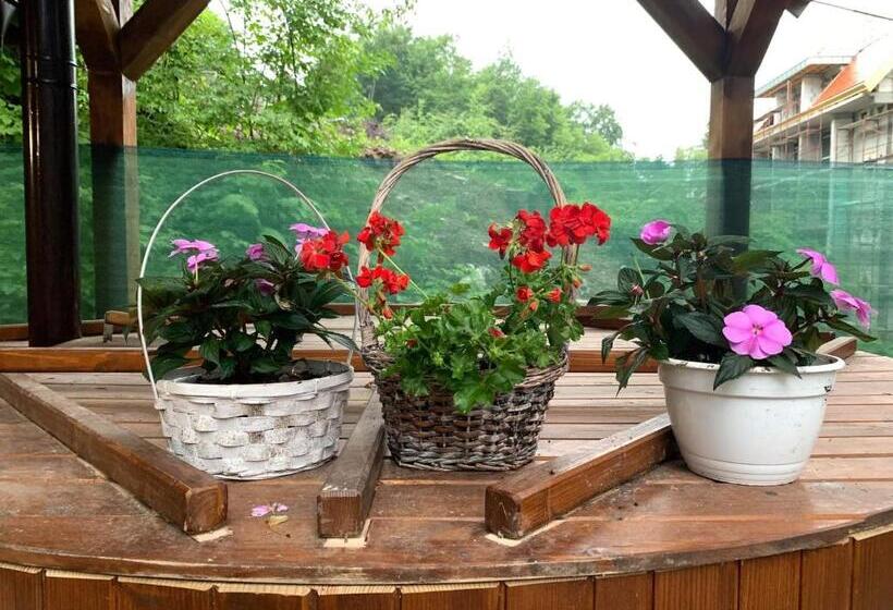 Пансион Thor și Cora