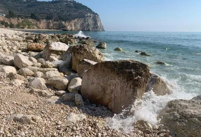 Aamiaismajoitus (B&B) Dimora Del Corso