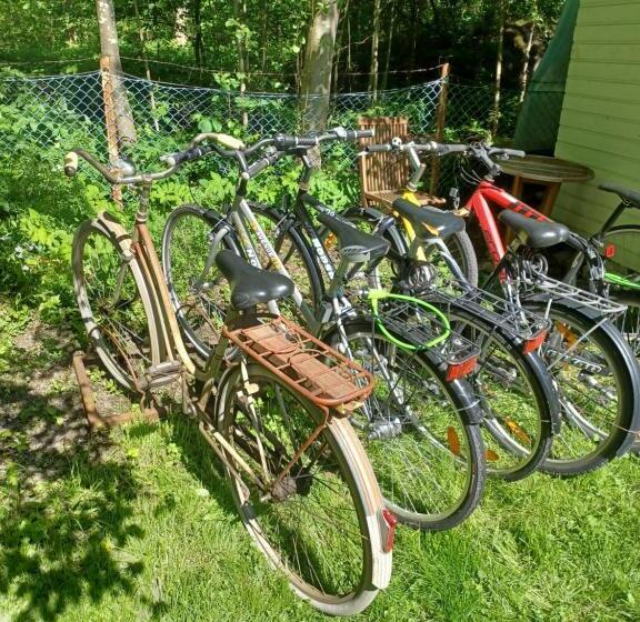 Huoneisto 3 Ristimäenkatu