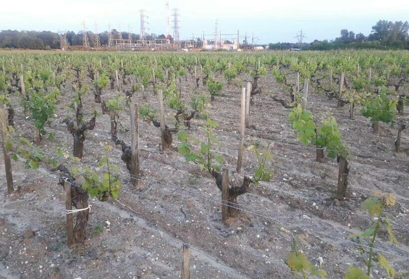 Пансион Chateau Gunes