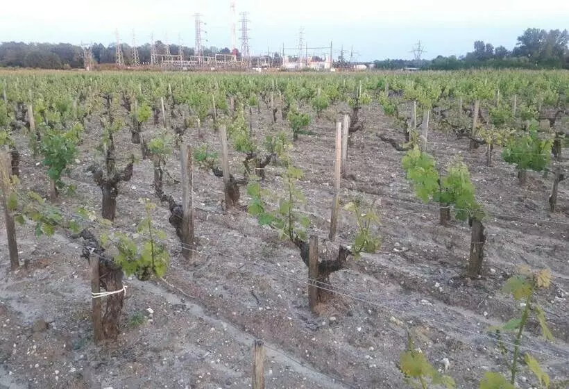 Majatalo Chateau Gunes