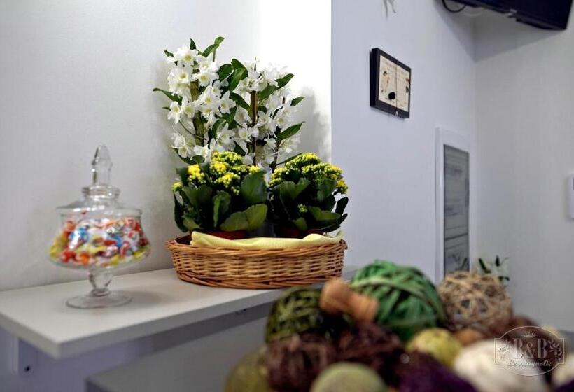 ペンション B&b Le Magnolie