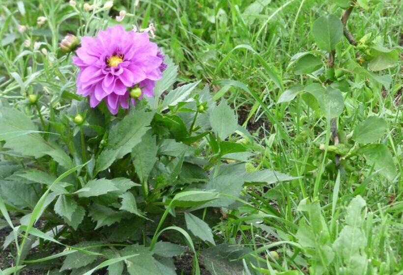 민박 приватна садиба у оксани