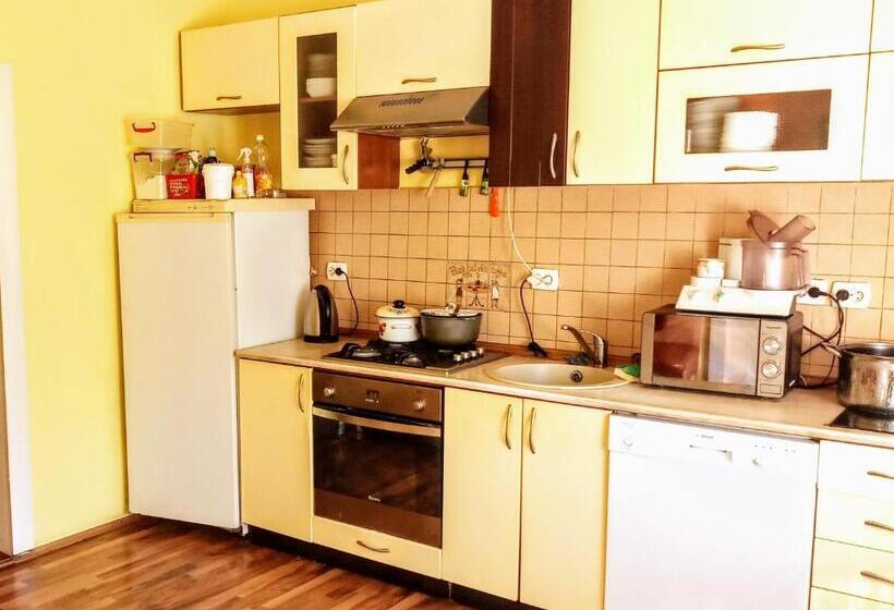 Пансион гостьовий дім у ані