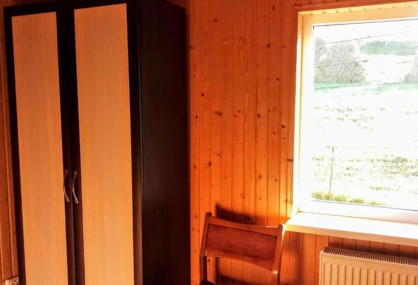 Пансион гостьовий дім у ані