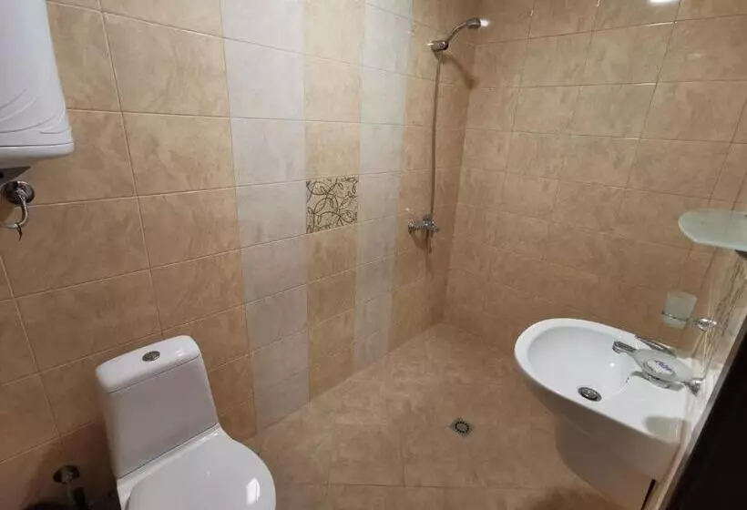 ペンション комплекс антик