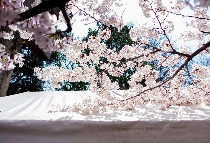 پانسیون Tora Hotel Tokyo Ueno 寅ホテル 上野 B