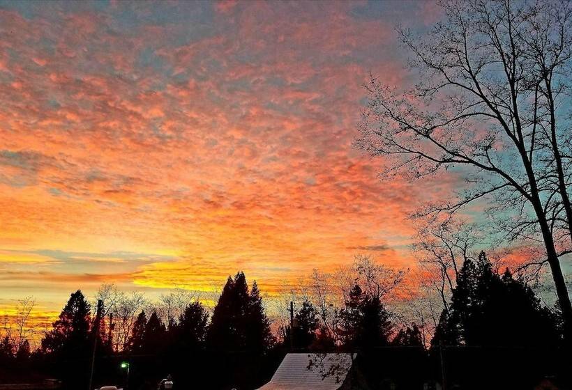 Общежитие American River Inn