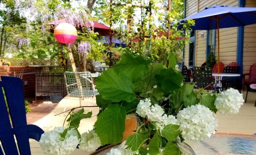 Общежитие American River Inn