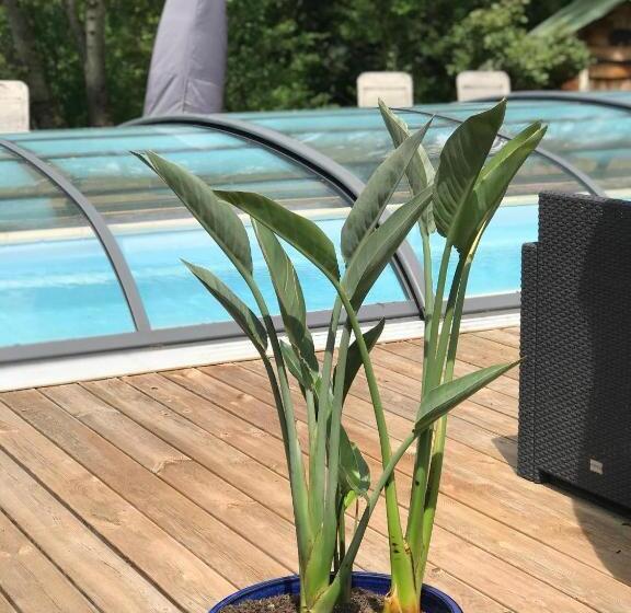 민박 La Perle De La Lauzière, Chambres D Hôtes
