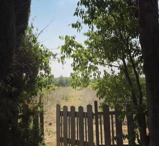 ベッドアンドブレックファースト Le Mas Du Lac