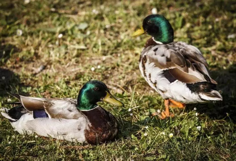 Hotelli Lovecký Zámeček