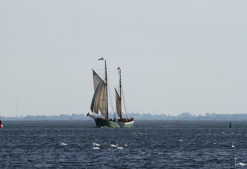 Pension Schwalbenhof