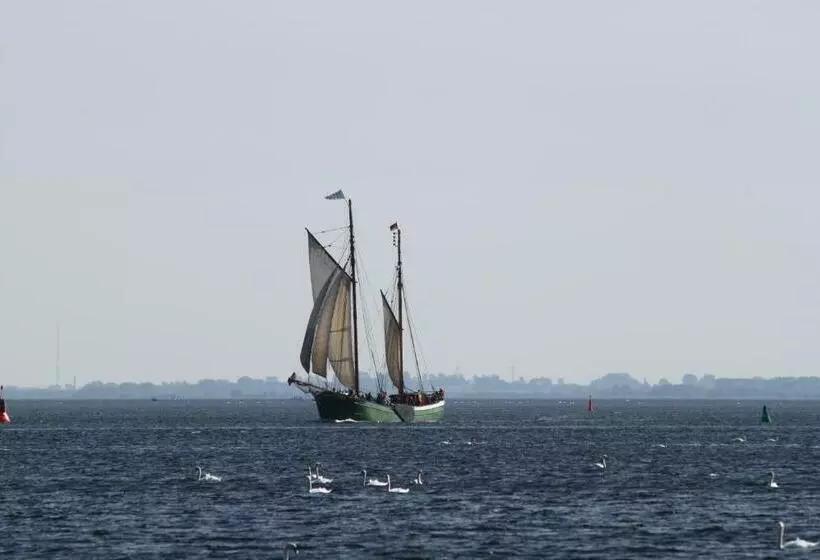 Pension Schwalbenhof