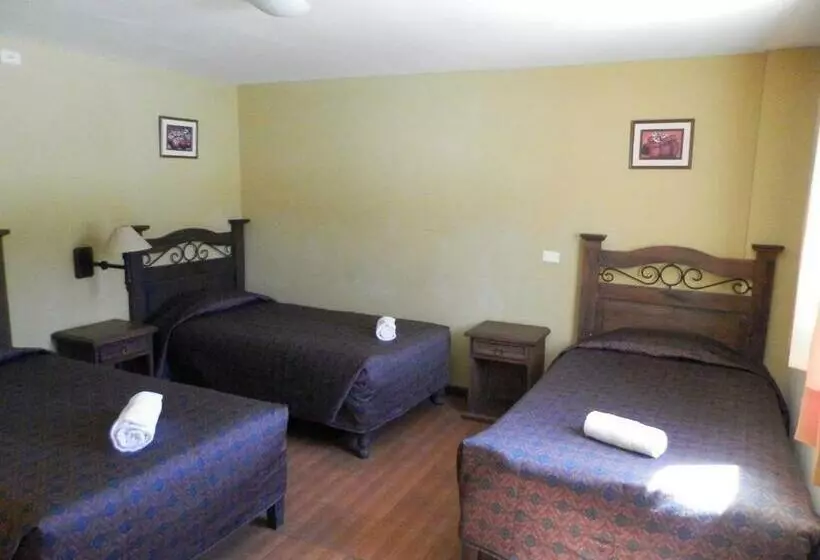 ユースホステル La Posada Del Conde