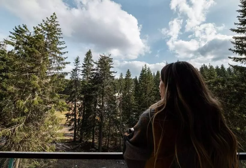 Aparthotel Woodside By Anaya