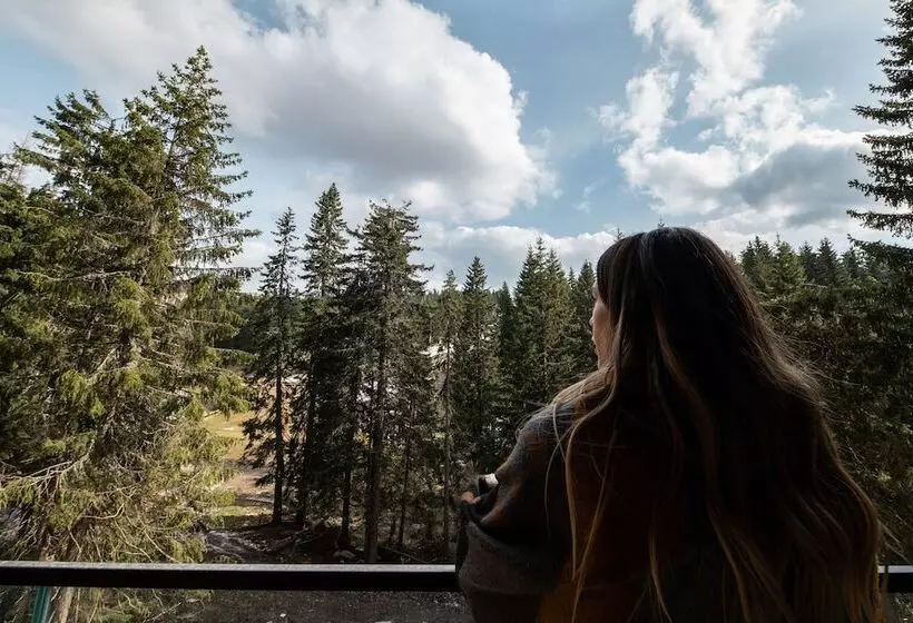 Aparthotel Woodside By Anaya