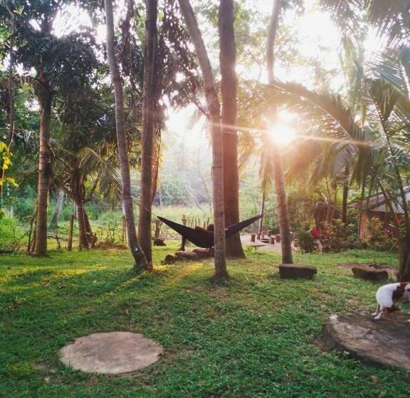 ユースホステル Hidden Well Hiriketiya