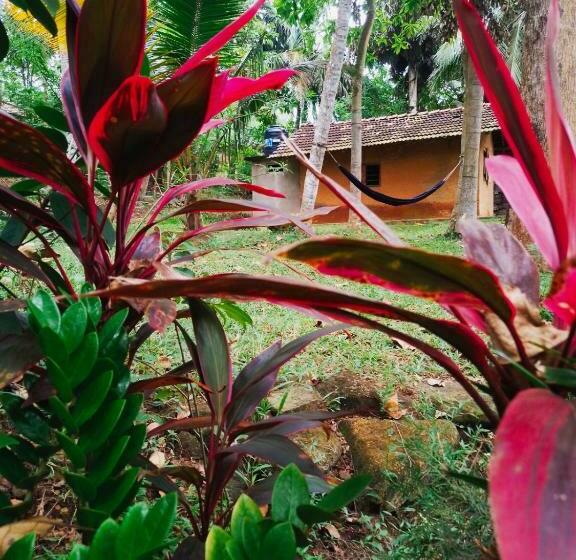 ユースホステル Hidden Well Hiriketiya