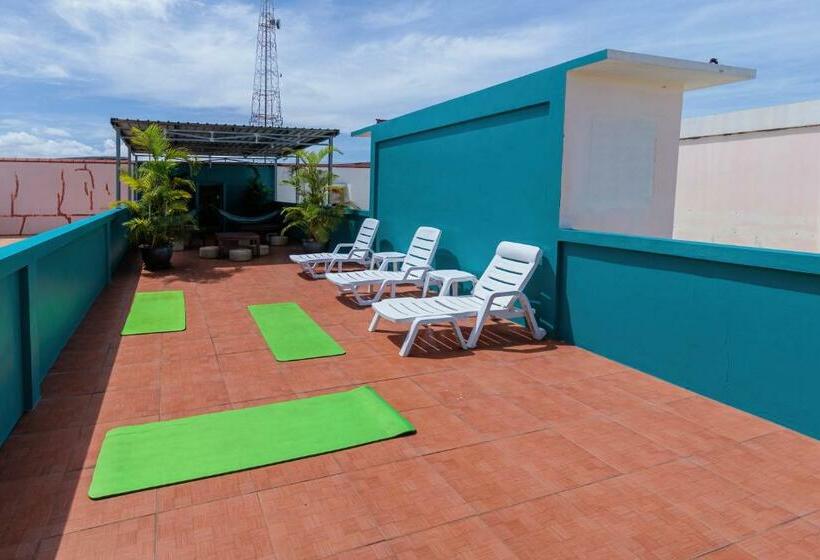 هاستل House Of Happiness