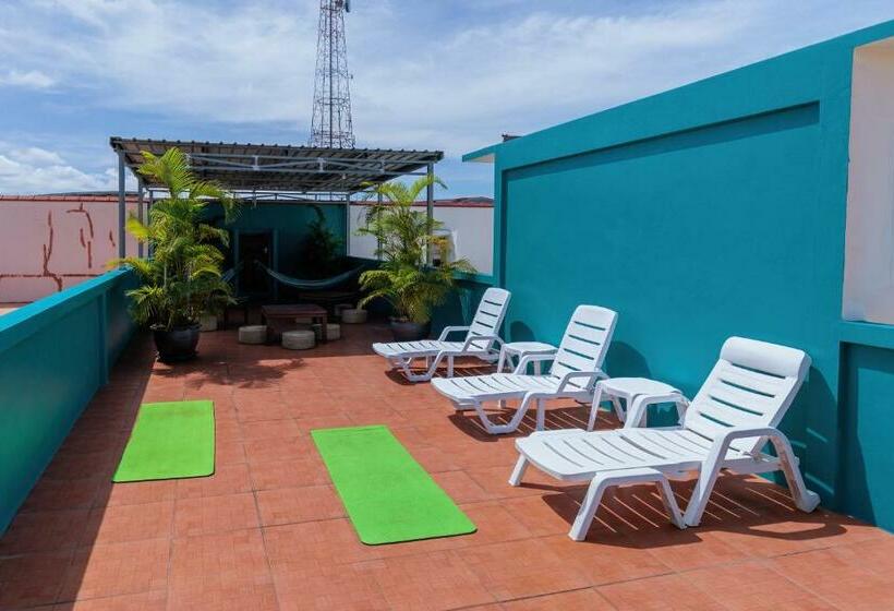 هاستل House Of Happiness