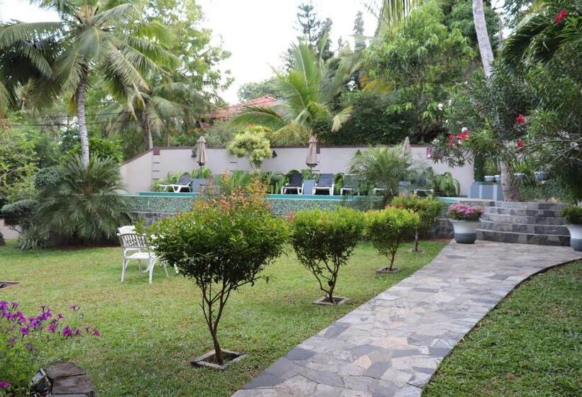 酒店 Goyambokka Guesthouse