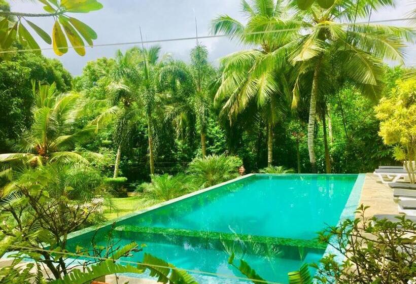 酒店 Goyambokka Guesthouse