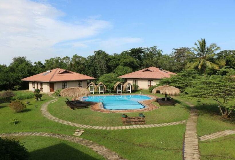 Hotel Hibiscus Garden