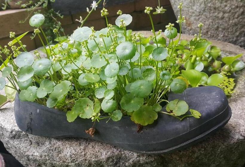 Pensione Hanok Story Guesthouse