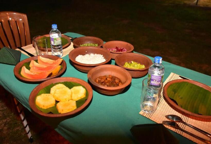 پانسیون Jungle View River Camping