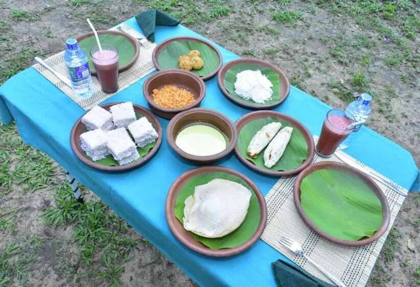 پانسیون Jungle View River Camping