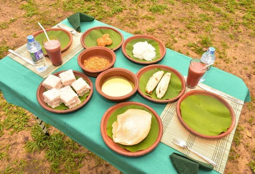 پانسیون Jungle View River Camping