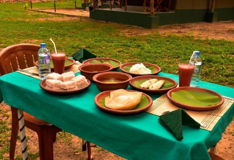 پانسیون Jungle View River Camping