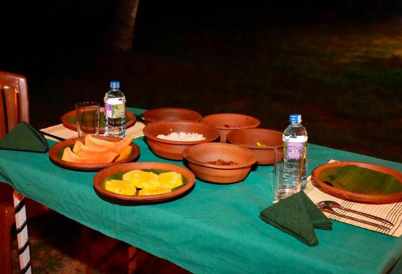 پانسیون Jungle View River Camping