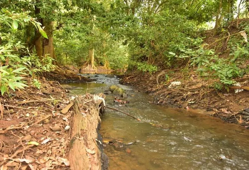 پانسیون Jungle View River Camping