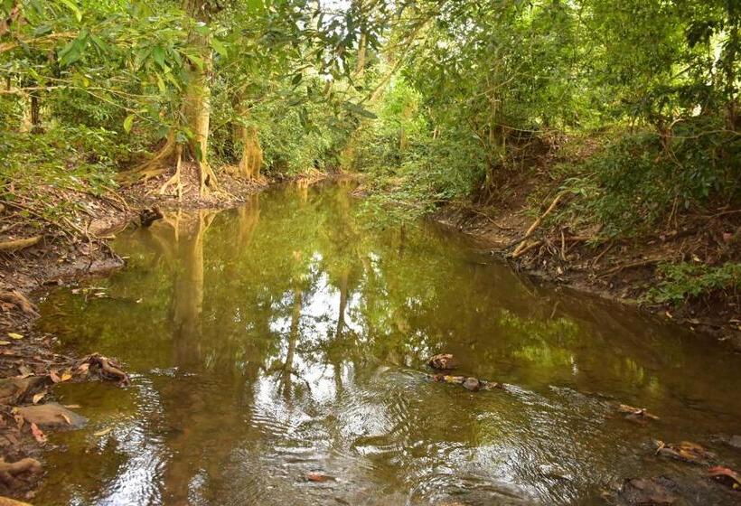 پانسیون Jungle View River Camping
