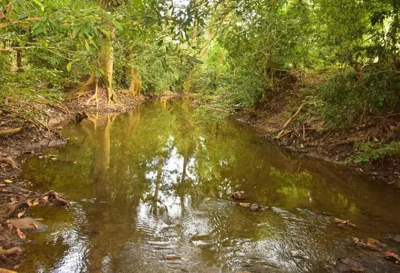 پانسیون Jungle View River Camping