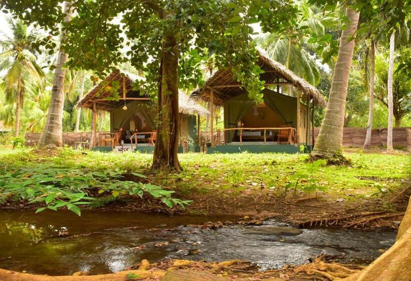 پانسیون Jungle View River Camping