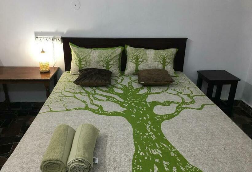 Pension (Hôtel basse catégorie) Zen House