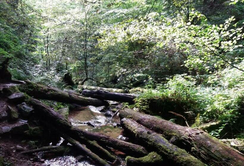 منتجع Holiday Park  Scout